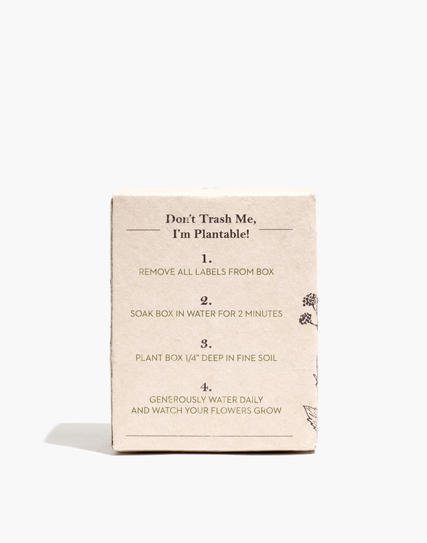 Indulgence | Oakmoss & Bergamot